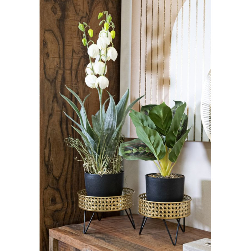 Glam BOSSY Vase Set 2 pcs Ø 20,5X13-18X13 cm - Iron