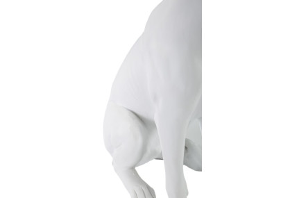 Chien Blanc, Gardien Silencieux des Palais de Verre – CM 20X12,5X33