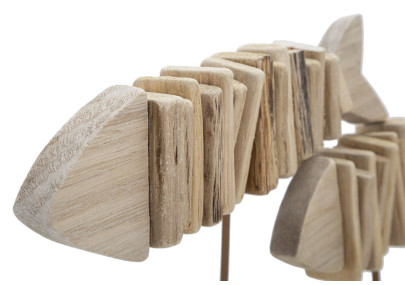 POISSON NATURE CM 37X10X24