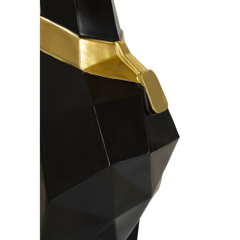 CANE CON VASCHETTA CM 30X64X91