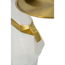 CANE CON VASCHETTA CM 27X51X74