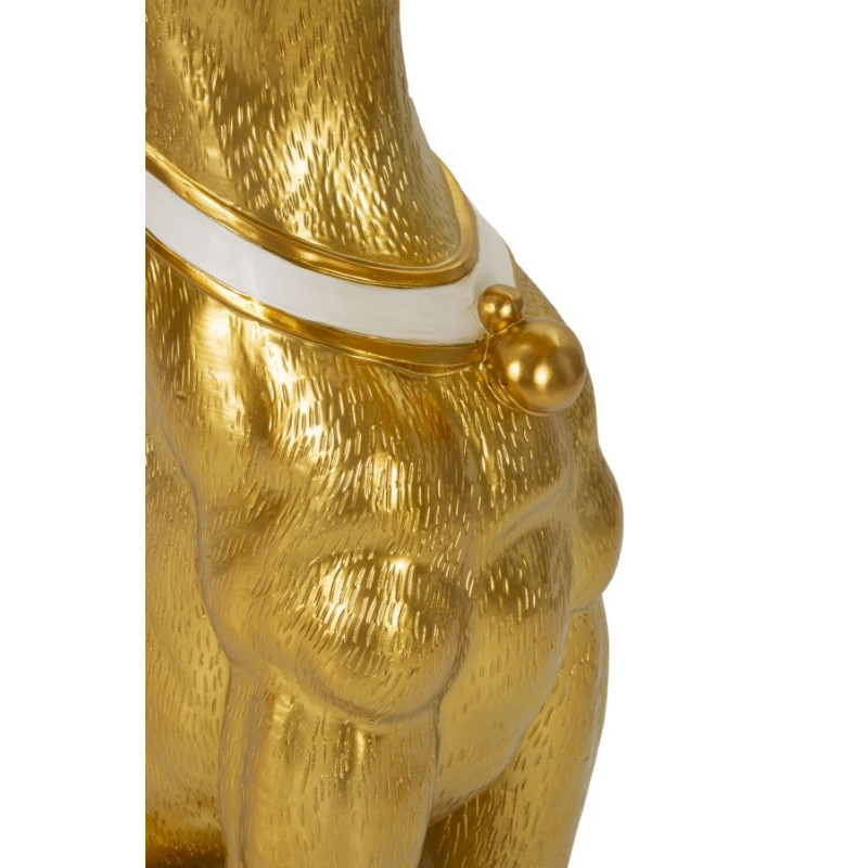 FOSSE POUR CHIEN AVEC PLATEAU CM 30X64X91