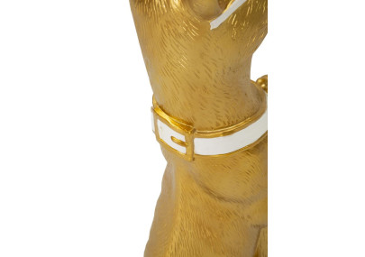 FOSSE POUR CHIEN AVEC PLATEAU CM 27X51X74