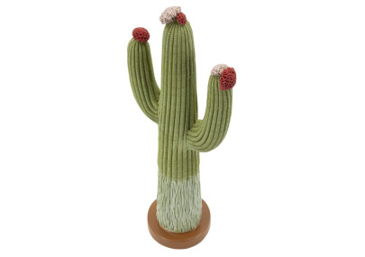 CACTUS CM 16,5X11X45