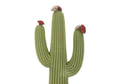 CACTUS CM 16,5X11X45