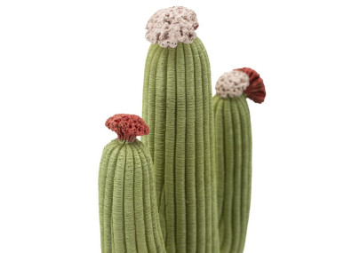 CACTUS CM 16,5X11X45
