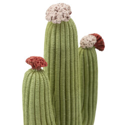 CACTUS CM 16,5X11X45