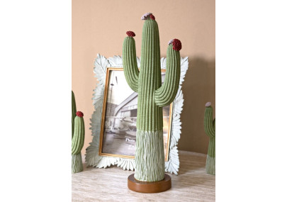 CACTUS CM 16,5X11X45