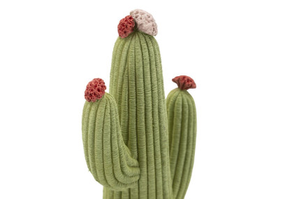CACTUS CM 13X7X25