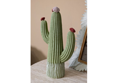 CACTUS CM 13X7X25