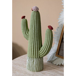 CACTUS CM 13X7X25
