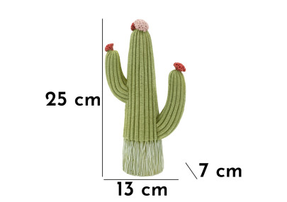 CACTUS CM 13X7X25