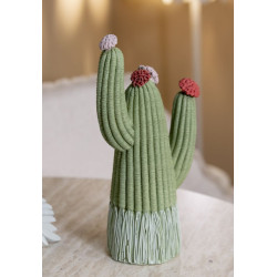 CACTUS CM 10,5X6,5X20,5