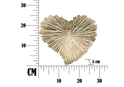 PLATEAU COEUR CM 29X5X25