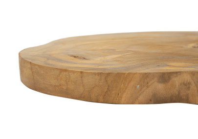 PLATEAU POKON TECK CM Ø 25X2