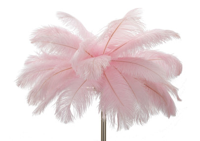 Lampadaire Palmier Rose – Élégance Colorée Ø 55x160 cm