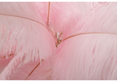 Lampadaire Palmier Rose – Élégance Colorée Ø 55x160 cm