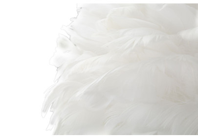 Lampadaire Slim Blanc – Style Minimaliste Ø 50x165 cm