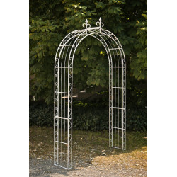 Rose arche Soleil blanc antique