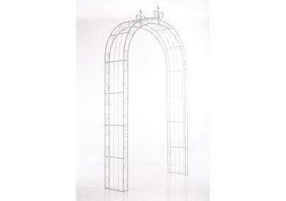 Rose arche Soleil blanc antique