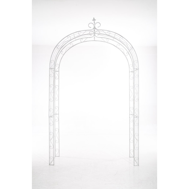 Rose arche Soleil blanc antique