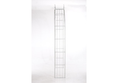 Rose arche Soleil blanc antique