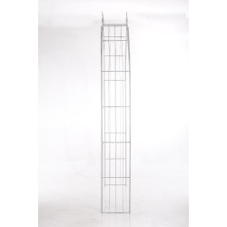 Rose arche Soleil blanc antique