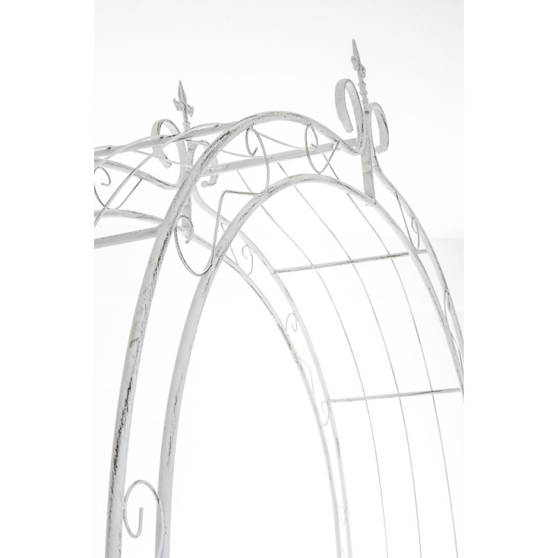 Rose arche Soleil blanc antique