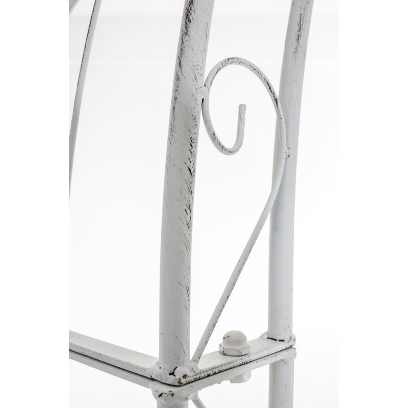 Rose arche Soleil blanc antique