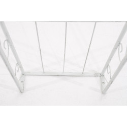 Arco de Flores Sun Blanco antiguo