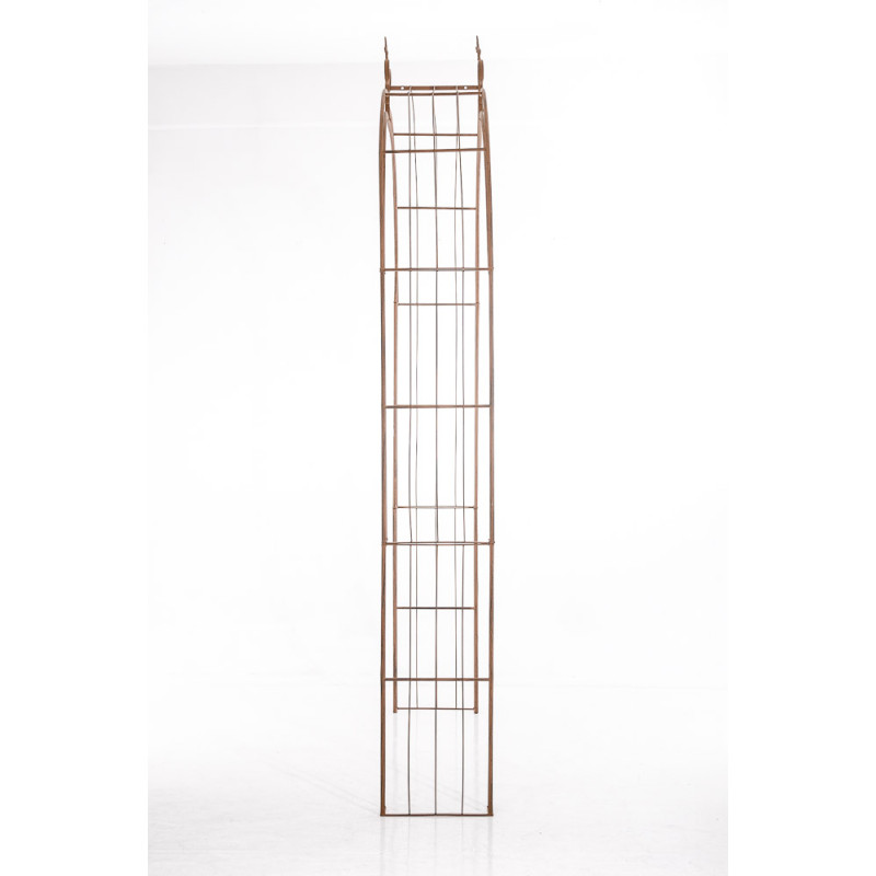 Rose arche Soleil brun antique