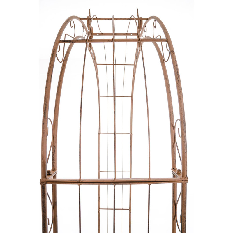 Rose arche Soleil brun antique