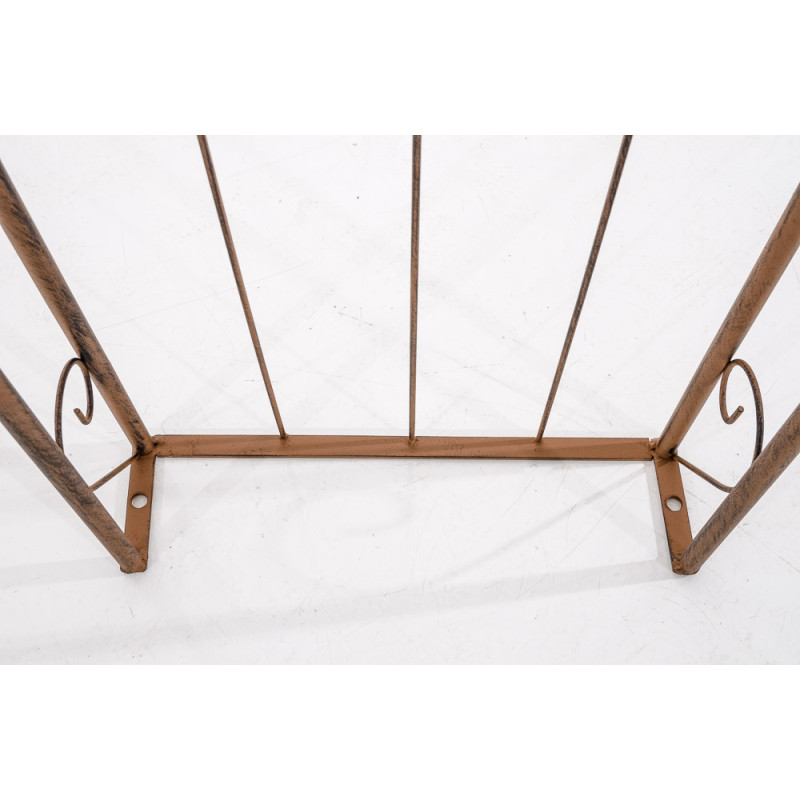 Rose arche Soleil brun antique