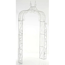 Arc de rose Aurora blanc antique