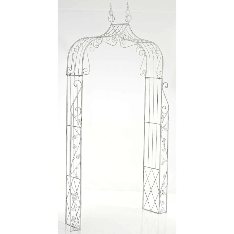 Arc de rose Aurora blanc antique