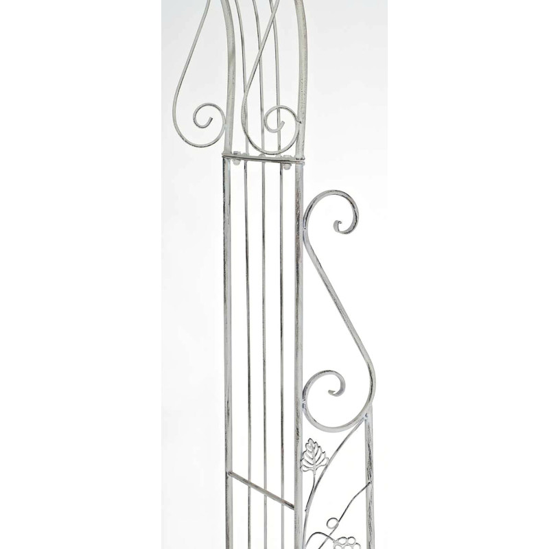 Arc de rose Aurora blanc antique