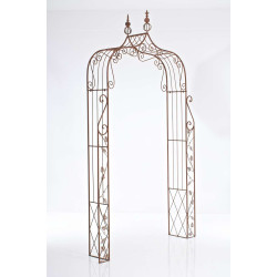 Arc de rose Aurore brun antique