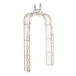 Arc de rose Aurore brun antique