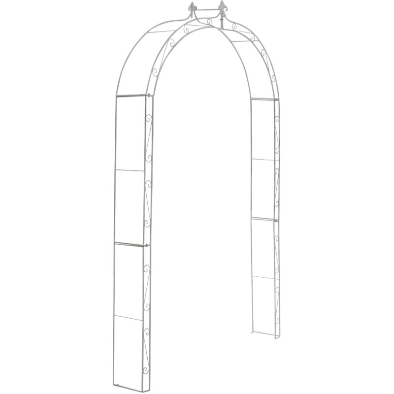 Anna, arche de roses blanches antiques