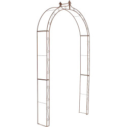 Anna, arche de roses brunes antiques