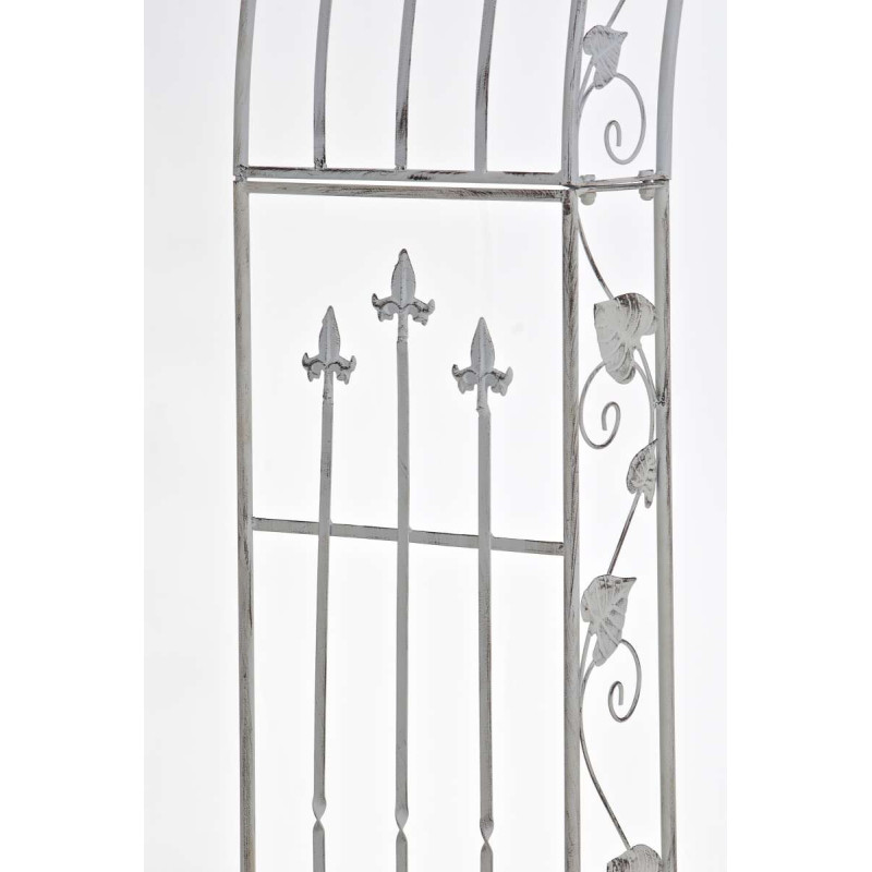 Emma, arche de roses blanches antiques