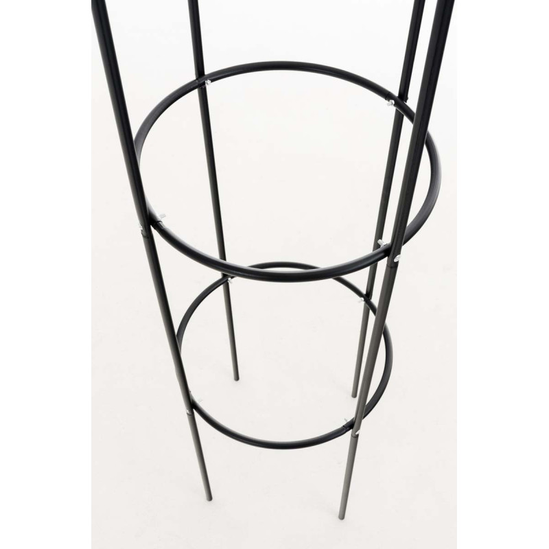 Colonne rose Romantika noire