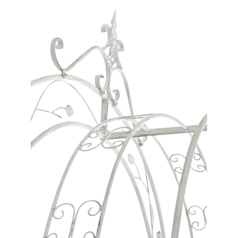 Arc de rose Grenade blanc antique