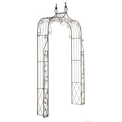 Arc de rose Aurora bronze