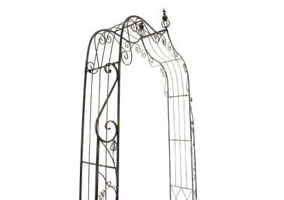Arc de rose Aurora bronze