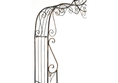 Arc de rose Aurora bronze