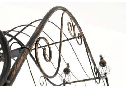 Arc de rose Aurora bronze