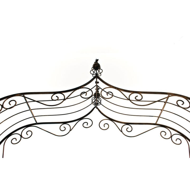 Arc de rose Aurora bronze