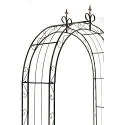 Arc de rose Bronze solaire