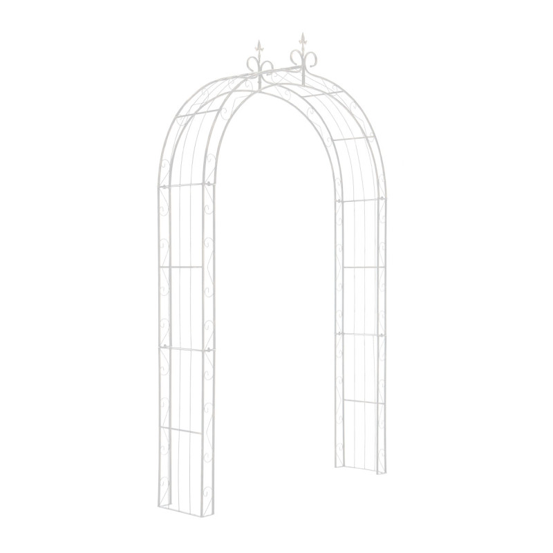 Arc de rose blanc soleil